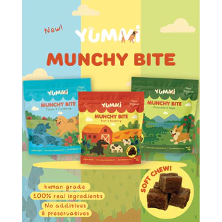 [แจ้งรสในหมายเหตุ] ขนมสุนัข Yummi โปร 5 แถม 1 ทำจากเนื้อและผัก 100% อร่อย มีประโยชน์