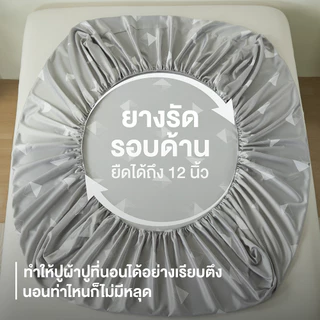 ibed ผ้าปูที่นอนเย็น นุ่มลื่น ป้องกันไรฝุ่น กันขนสัตว์ Adaptive Cool Silk พิมพ์ลาย Prisma Silver