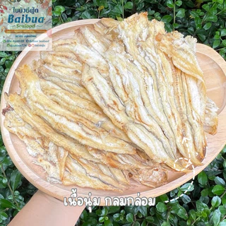 เนื้อปลาเห็ดโคนทุบ 500 กรัม | ชิ้นใหญ่ เนื้อนุ่ม ไม่คาว อร่อย ทานง่าย แพ็คถุงซิปล็อก ส่งไว