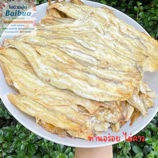 เนื้อปลาเห็ดโคนทุบ 500 กรัม | ชิ้นใหญ่ เนื้อนุ่ม ไม่คาว อร่อย ทานง่าย แพ็คถุงซิปล็อก ส่งไว
