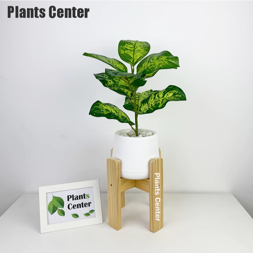 Plants Center ต้นไม้ปลอม 9ใบ สูง 45-55ซม รวมไม้ยอดนิยม ไม้มงคล ตกแต่งบ้าน แต่งสวน  P008 thumbnail 8