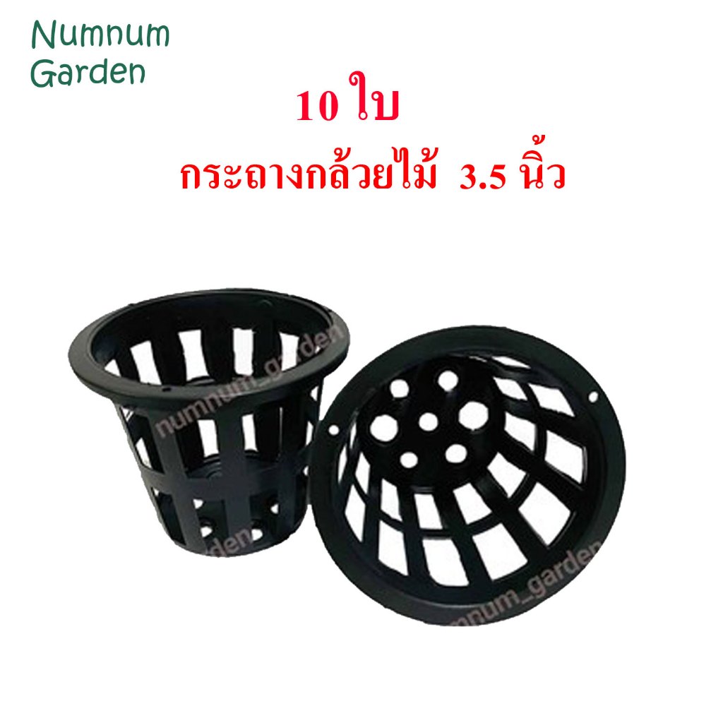 10 ใบ กระถางกล้วยไม้ 3.5นิ้ว กระเช้ากล้วยไม้ กระเช้า กระถางพลาสติก มีรูระบายน้ำรอบ ทำจากพลาสติกเกรด A
