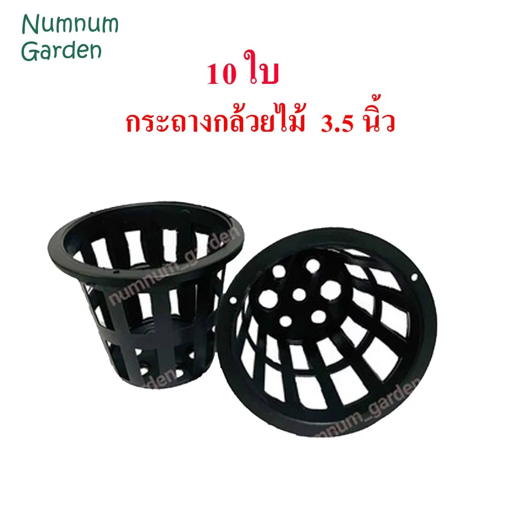 10 ใบ กระถางกล้วยไม้ 3.5นิ้ว กระเช้ากล้วยไม้ กระเช้า กระถางพลาสติก มีรูระบายน้ำรอบ ทำจากพลาสติกเกรด A