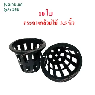 10 ใบ กระถางกล้วยไม้ 3.5นิ้ว กระเช้ากล้วยไม้ กระเช้า กระถางพลาสติก มีรูระบายน้ำรอบ ทำจากพลาสติกเกรด A