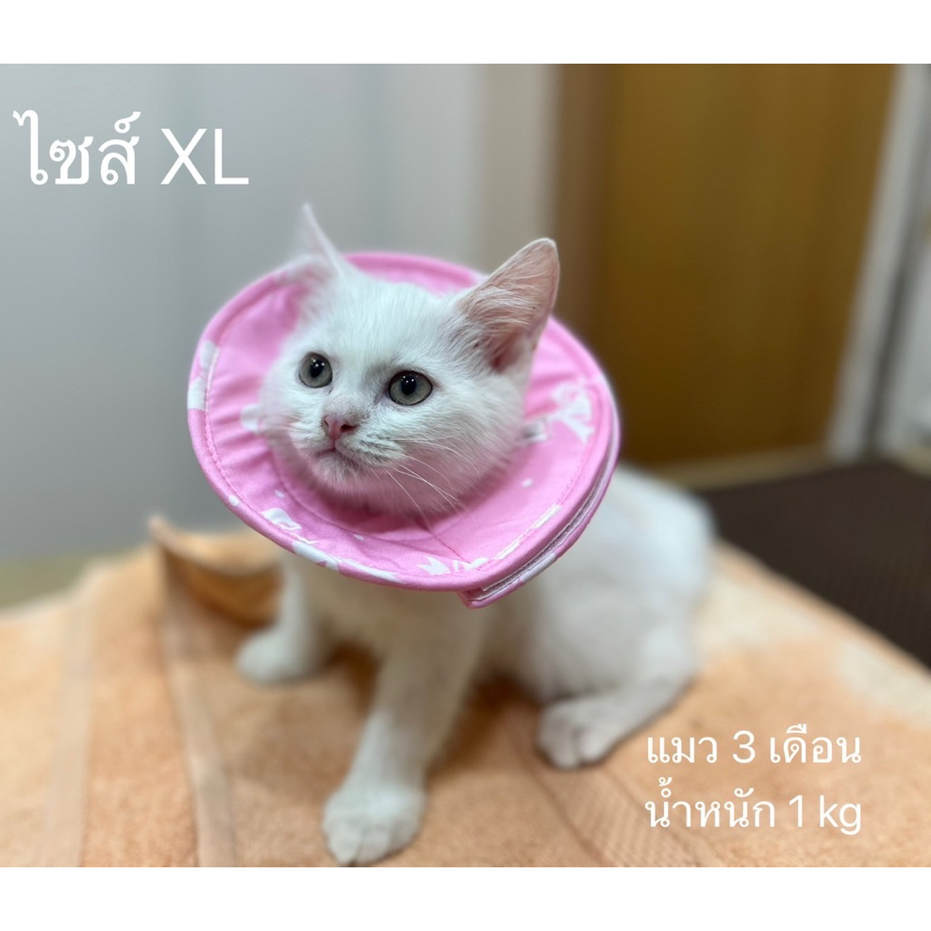 คอลล่ากันเลีย ป้องกันการเกาตา ป้องกันการแทะเท้า แทะแผล สำหรับลูกสุนัขและแมว - รูปที่ 3