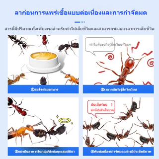 🦎ครีมกำจัดจิ้งจก Lizard Killer ไล่จิ้งจกแบบถาวร 8 ชิ้น/กล่อง ออกฤทธิ์ยาวนาน ปลอดภัยต่อคนและสัตว์เลี้ยง
