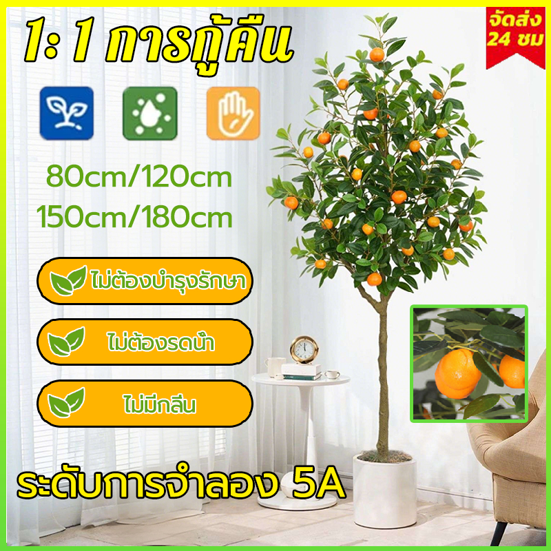 【ความจำลอง 99%】ต้นส้มประดิษฐ์ สีไม่จางลง สําหรับตกแต่งบ้าน ต้นส้มปลอม 80/120/150/180cm