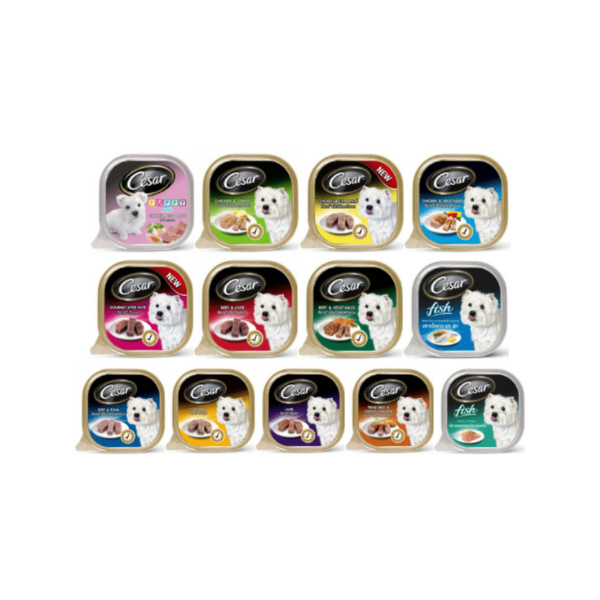 CESAR อาหารเปียกสุนัข แบบถาด (6 ถาด)