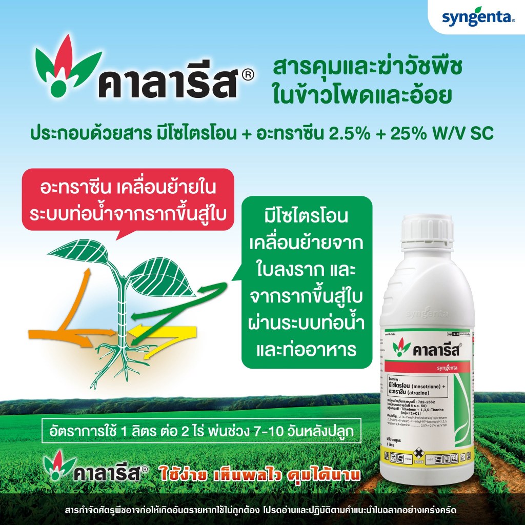 คาลารีส ขนาด 1ลิตร มีไซไตรโอน+อะทราซีน เมอร์เทค กำจัดวัชพืช - รูปที่ 2