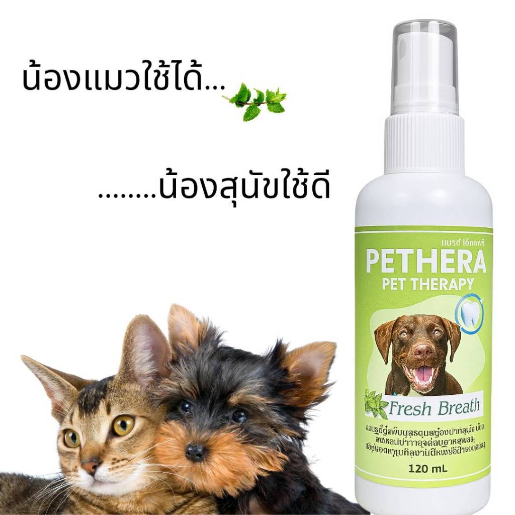 สเปรย์ลดเชื้อแบคทีเรียในปากสุนัขแมว ลดเชื้อที่ก่อให้เกิดโรคร้าย ช่วยดับกลิ่นปาก ลดอาการฟันผุ ขจัดคราบจากสารสกัดธรรมชาติ - รูปที่ 7
