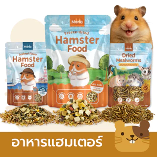 อาหารหนูแฮมเตอร์ Morio450g โปรตีนสูง สารอาหารดีที่สุด หนูแฮมเตอร์ มีอาหารทะเลเพิ่มคุ้มค่าทางอาหารและรสชาติอาหารที่ดีขึ้น
