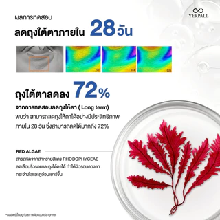 วิตามินใต้ตา เยอเพล yerpall Intensive concentrate retinol eye cream