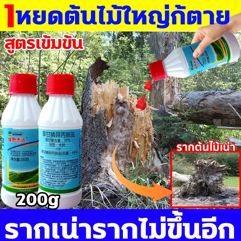 💥ไม่ได้ผลยินดีคืนเงิน💥เข้มข้นสุด ยาฆ่าต้นไม้ใหญ 200ml 1ขวดเท่ากับ20ขวด ยาฆ่าตอต้นไม้ รากเน่ารากตาย ยาฆ่าตอไม ตรงไปที่ราก