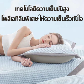 ซื้อ 1 แถม 1🔥ปลอกหมอนหนุน ใบใหญ่ (48×74 cm) 3D มิติ เพิ่มความหนา ระบายอากาศ สัมผัสนุ่ม เย็นสดชื่น