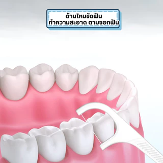 THEWINไหมขัดฟัน2IN1ชนิดด้าม(50ชิ้น/กล่อง) ไม้จิ้มฟันพลาสติก ไหมขัดฟันแบบแท่ง แปรงขัดซอกฟัน แปรงสีฟัน