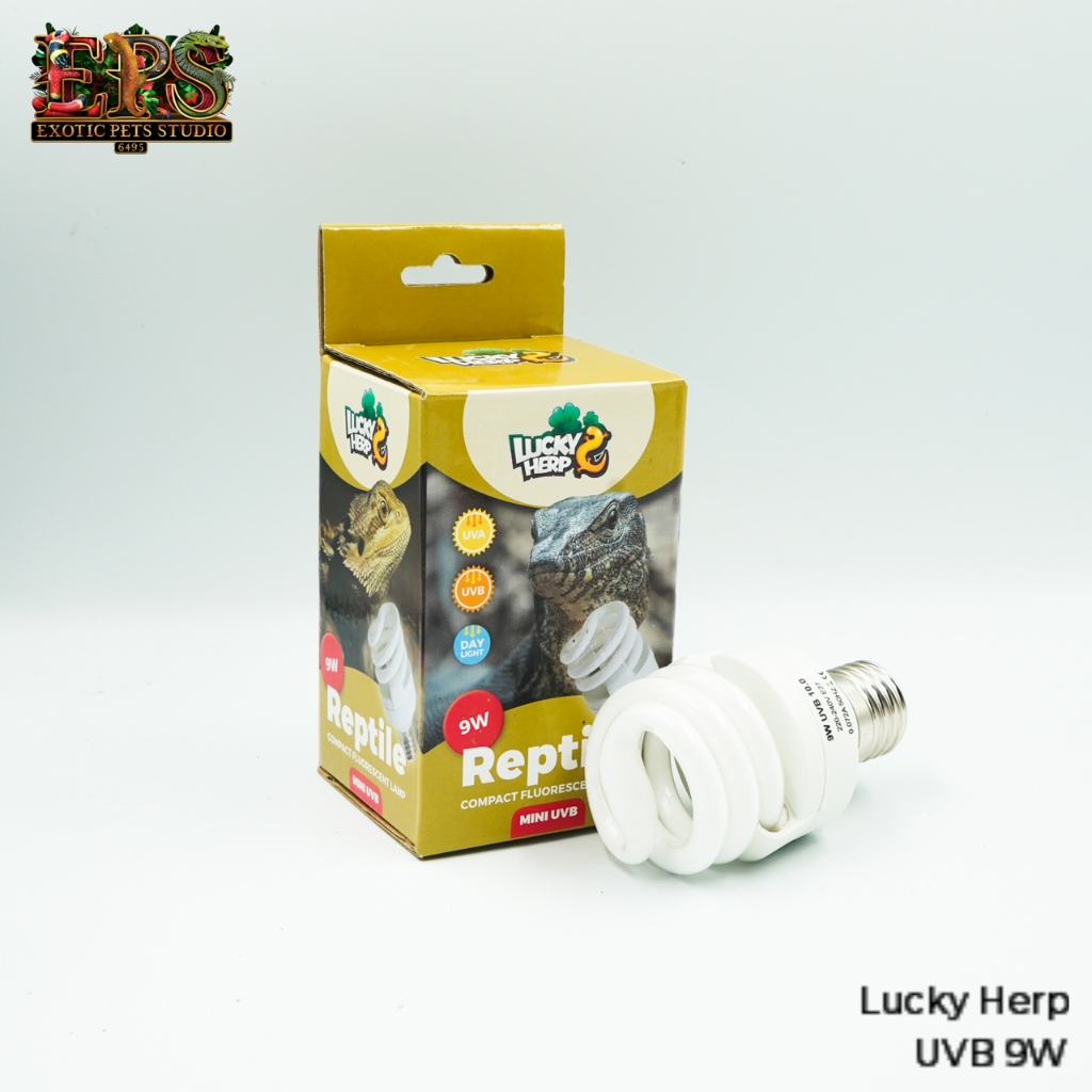 Lucky Herp หลอดไฟ UVB 10.0 สำหรับสัตว์เลื้อยคลาน (9W) Reptile Compact Fluorescent Lamp - MINI UVB