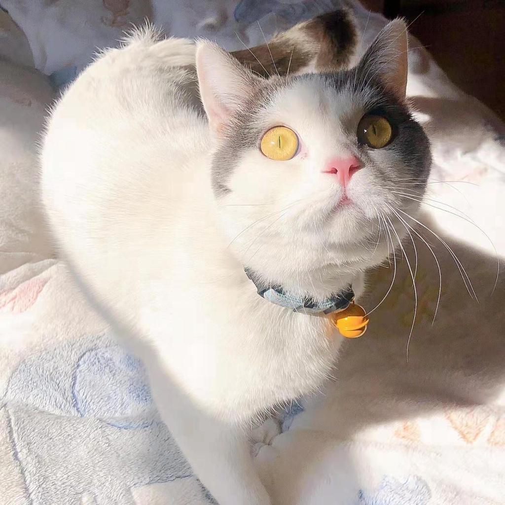 รูปภาพ 6