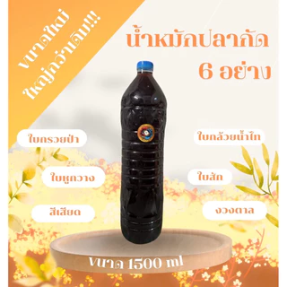 น้ำหมักปลากัด 6 อย่าง ใบกรวยป่า ใบหูกวาง ใบกล้วยน้ำไท ใบสัก สีเสียด และงวงตาล ทำให้ปลาคึก แข็งแรง