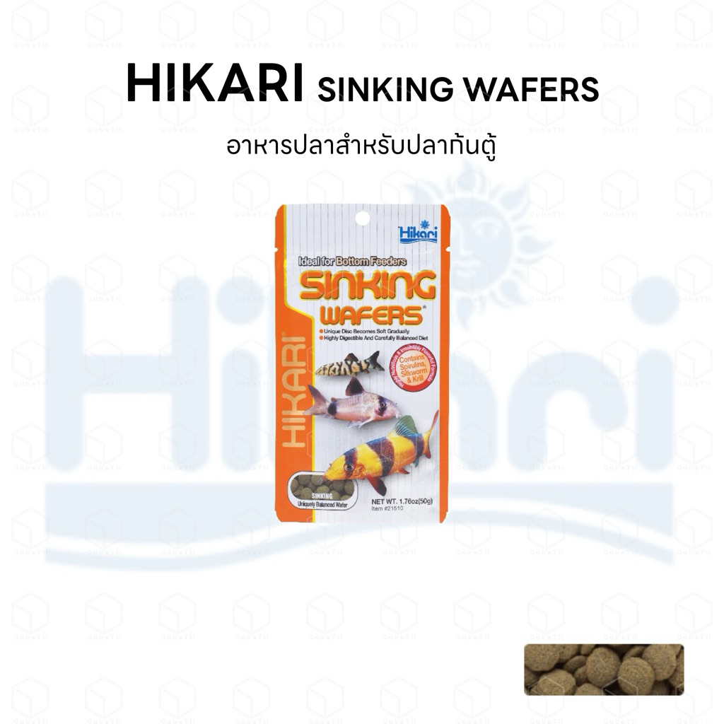 Hikari Sinking Wafers อาหารปลาก้นตู้ เม็ดจม