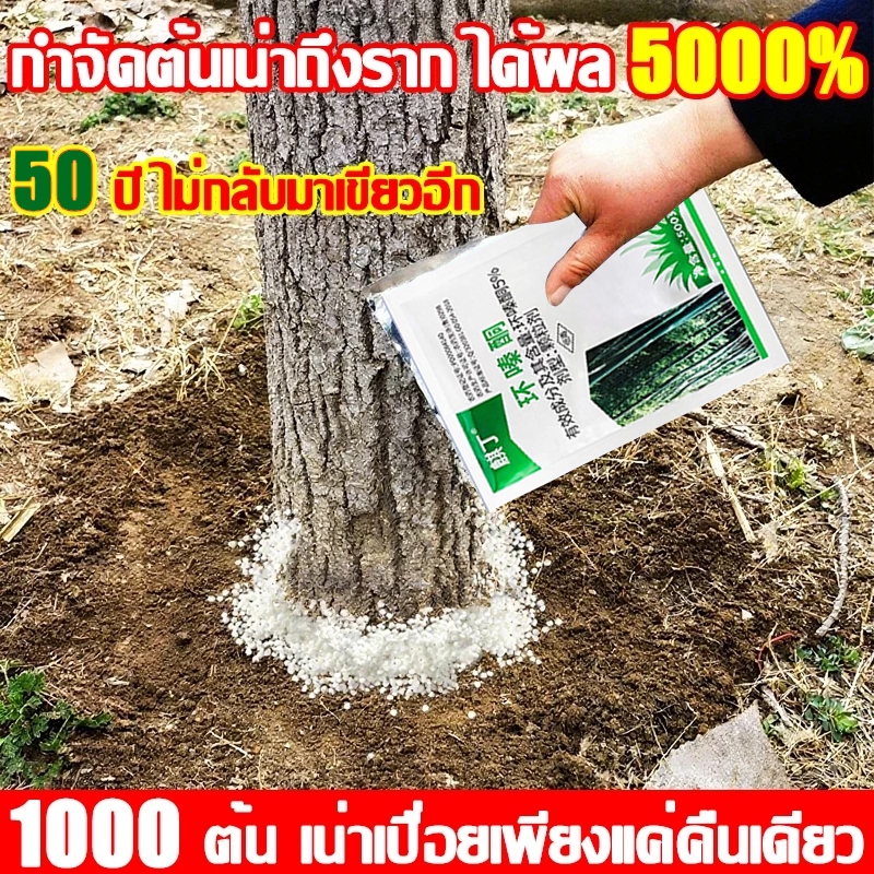 💥100% รากไม้เน่า ยาฆ่าต้นไม้ใหญ 500g ตรงไปที่ราก สร้างมาเพื่อฤดูฝน  ยาฆ่าตอไม้ ไม่เป็นอันตรายต่อดิน ยากำจัดต้นไม้ใหญ่
