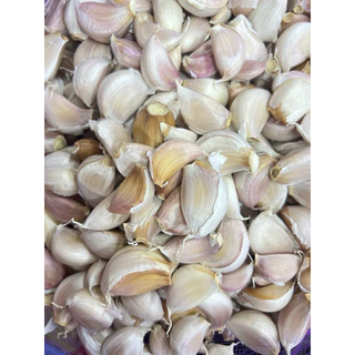 กระเทียมจีนแกะกลีบ พร้อมใช้ ยกกระสอบ 9.5-10KG