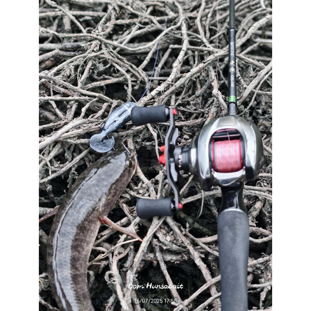 เหยื่อยาง ตกปลาช่อน Tailfrog mini 6.5cm 7.3กรัม 1ซอง6ตัว พร้อมตัวเบ็ดขนาด2/O 1ตัว รูปที่ 7