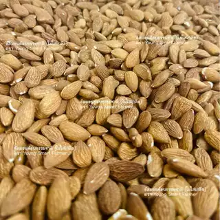 อัลมอนด์เม็ด อบ พร้อมทาน รสธรรมชาติ ไม่น้ำมัน ไม่เกลือ 500 g. (Roasted Almonds)