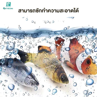 Pet Record ตุ๊กตาแคทนิป ปลาแคทนิป ของเล่นแมว แคทนิป 20CM ดิ้นไม่ได้