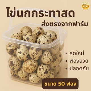 ไข่นกกระทา จำนวน 50 ฟอง สำหรับประกอบอาหาร  สดใหม่ทุกวัน