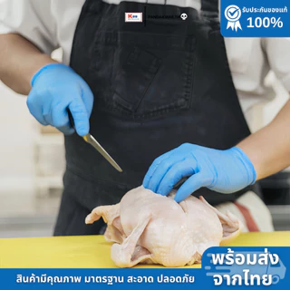 ถุงมือยางไนไตรแท้ สีฟ้า Brocare ชนิดไม่มีแป้ง เหนียว ทนทำ ไม่ขาดง่าย สัมผัสอาหาได้ พร้อมส่ง