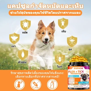 Popoo แพ็คสุดคุ้ม 2สูตร โปรไบโอติกสำหรับสุนัข และ Flea & Tick Prevention for Dogs วิตามินหมา ขนมสุนัข สำหรับสุนัขทุกวัย