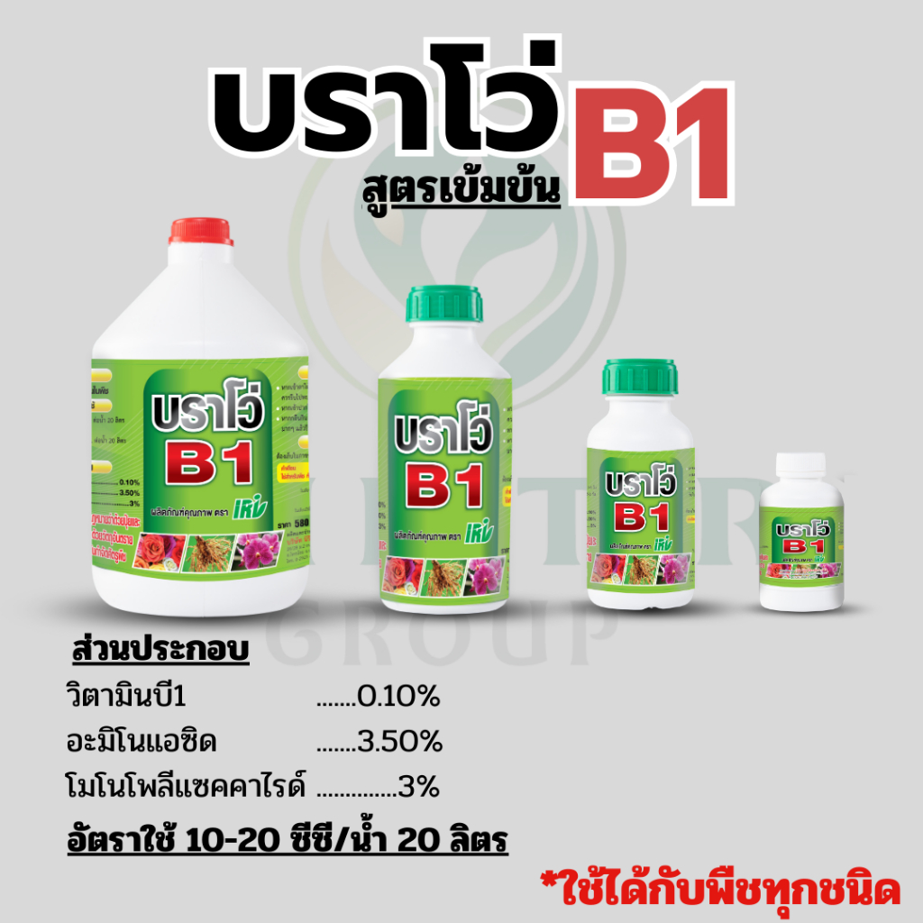 สารเสริมราก บราโว่บี1 ช่วยให้รากแตกใหม่ รากเยอะ ต้นสมบูรณ์ เพาะเมล็ด สำหรับต้นใหญ่ สูตรใช้น้อย ประหยัด สุดคุ้ม