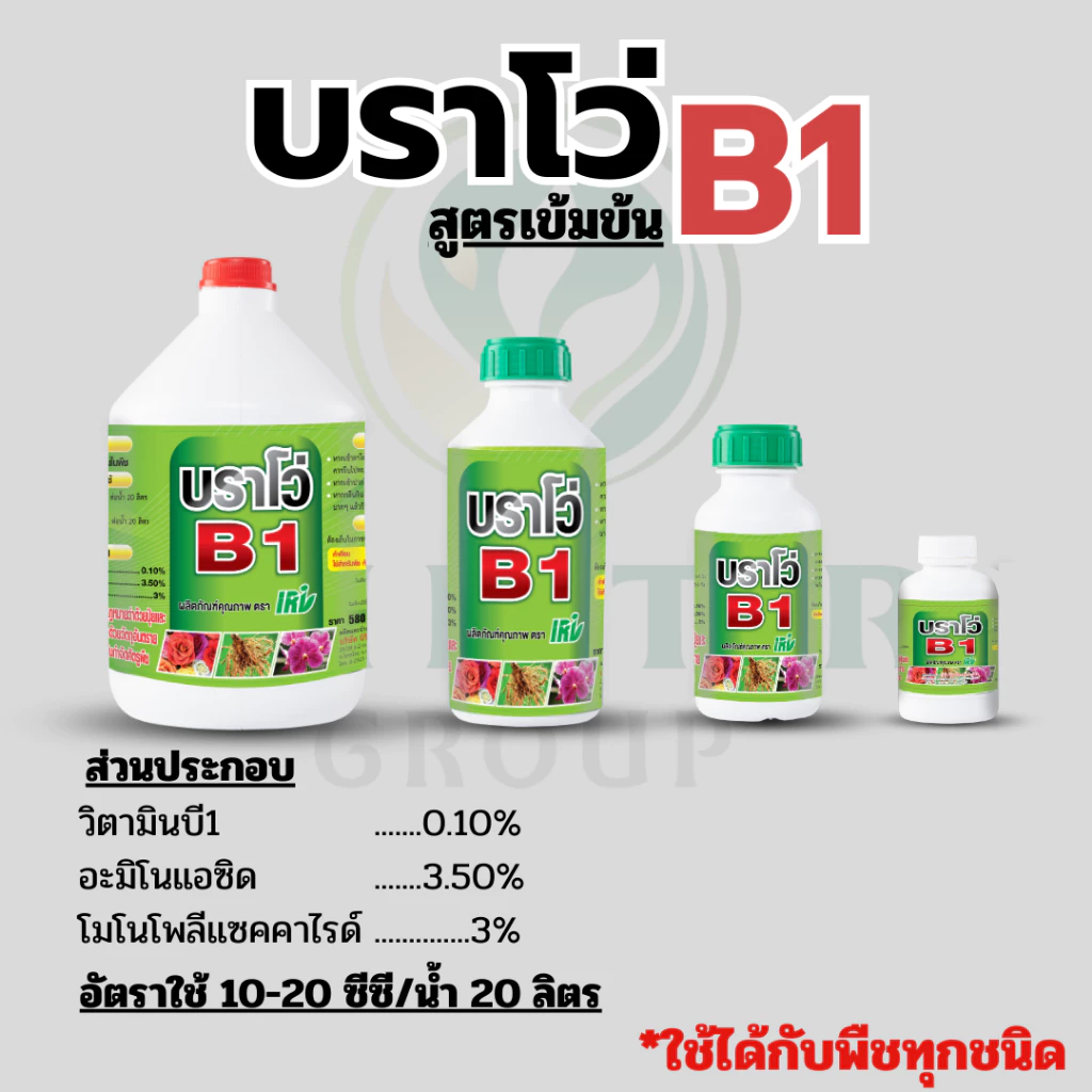 สารเสริมราก บราโว่บี1 ช่วยให้รากแตกใหม่ รากเยอะ ต้นสมบูรณ์ เพาะเมล็ด สำหรับต้นใหญ่ สูตรใช้น้อย ประหยัด สุดคุ้ม