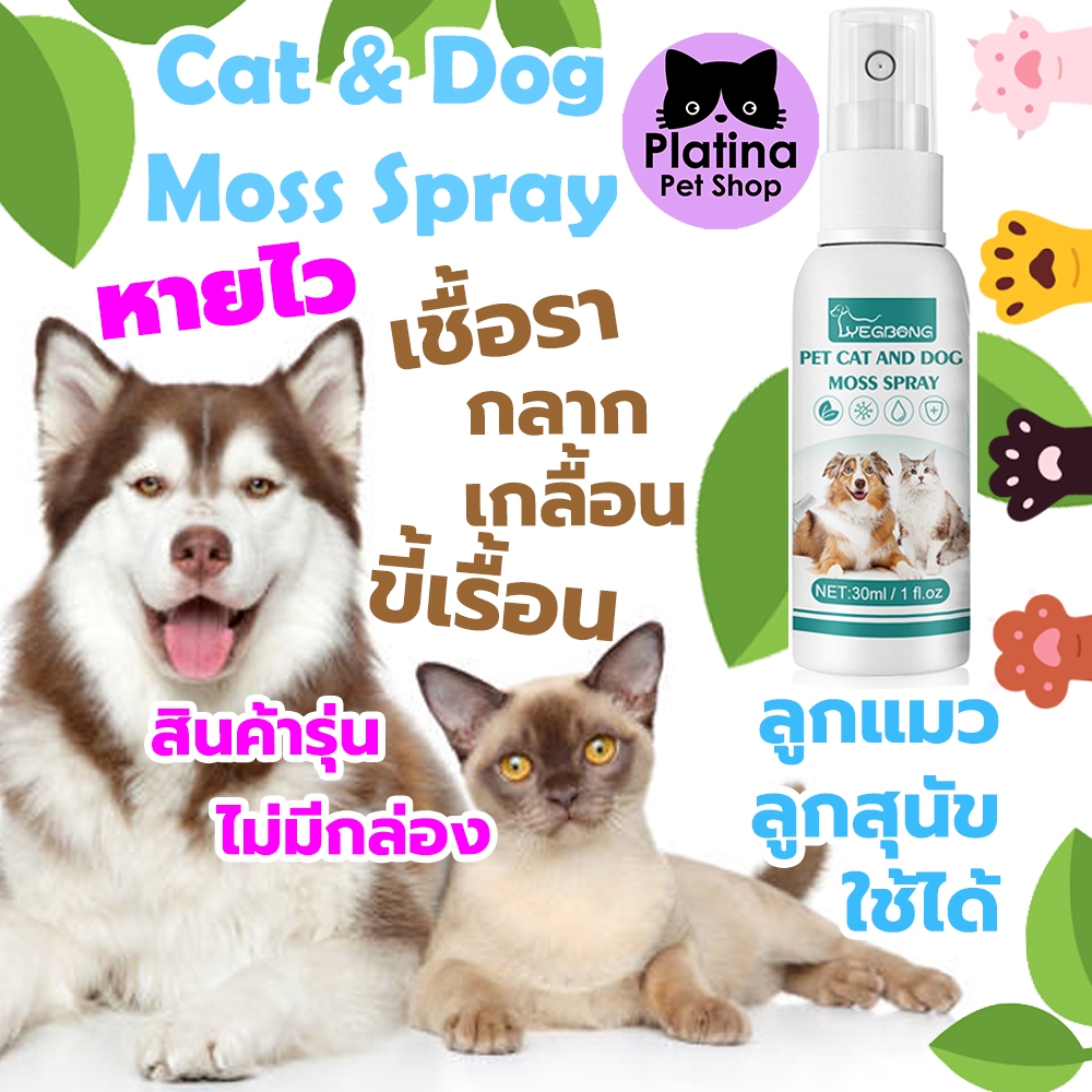 (สินค้ารุ่นไม่มีกล่อง)YEGBONG สเปรย์ผิวหนังแมวและสุนัข เชื้อรา ขี้เรื้อน กลาก เกลื้อน ตัวนี้หายไว ลูกแมวลูกสุนัขใช้ได้