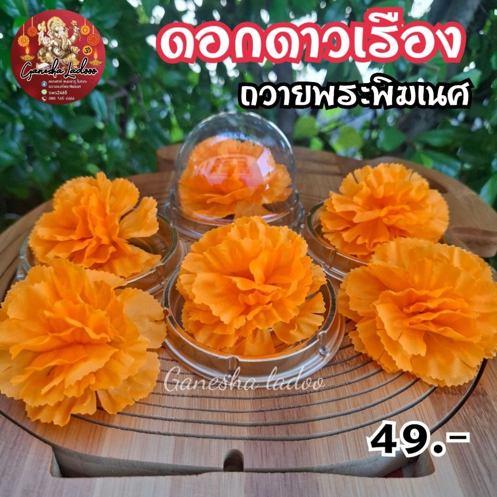 ดอกดาวเรือง ไหว้พระพิฆเนศ ดอกไม้บูชาเทพ สำหรับพิธี คเณศจตุรถี