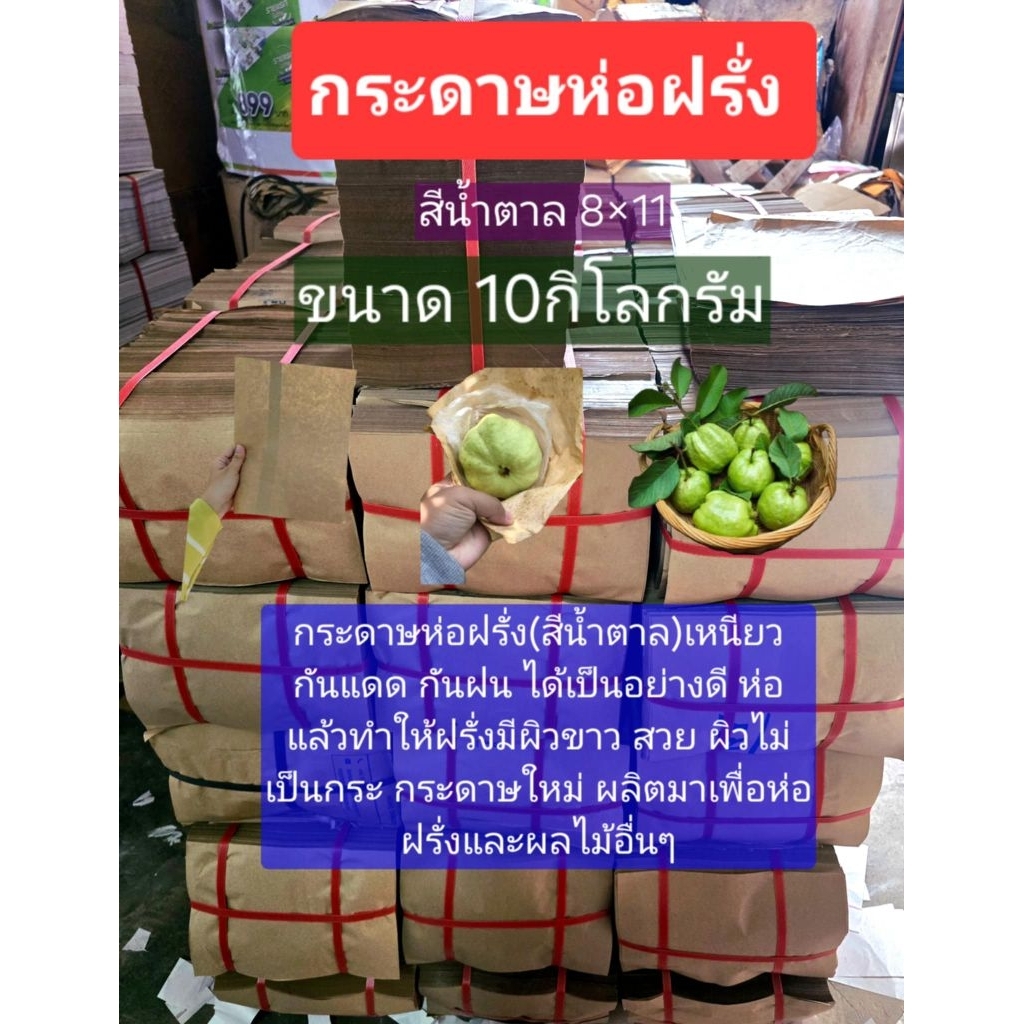 (ขนาด 10กิโลกรัม)กระดาษห่อฝรั่งสีน้ำตาล ขนาด 8×11 กระดาษสะอาดเหนียว ทนต่อแดดกันน้ำ เหมาะสำหรับการพ่อฝรั่งและผลไม้อื่นๆ
