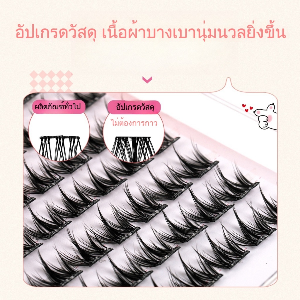 รูปภาพ 5