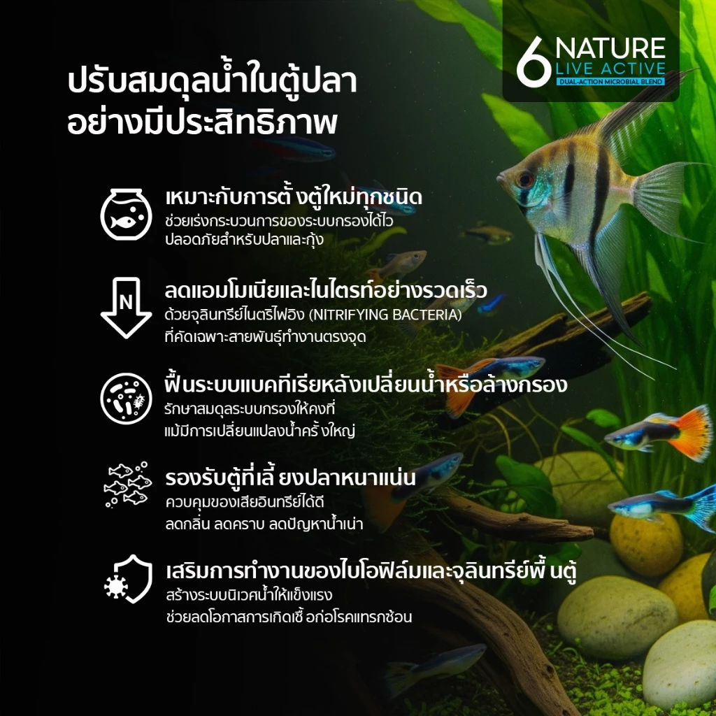 6NATURE จุลินทรีย์ตู้ปลา Nitrifying + Bacillus 6 สายพันธุ์ ตั้งตู้ บ่อปลา ไม้น้ำ thumbnail 4