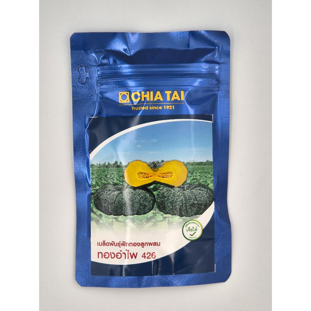 ฟักทองทองอำไพ 426 1000 เมล็ด ตรา เจียไต๋ ฟักทองลูกใหญ่