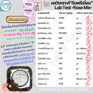 10L/4 Kg ดินกุหลาบ และไม้ดอก สูตรพรีเมี่ยม สูตรบำรุงดอก 13 ส่วนผสม มีผลตรวจแล็บ ธาตุอาหารสูง ไม้เติบโตได้ดีในระยะยาว