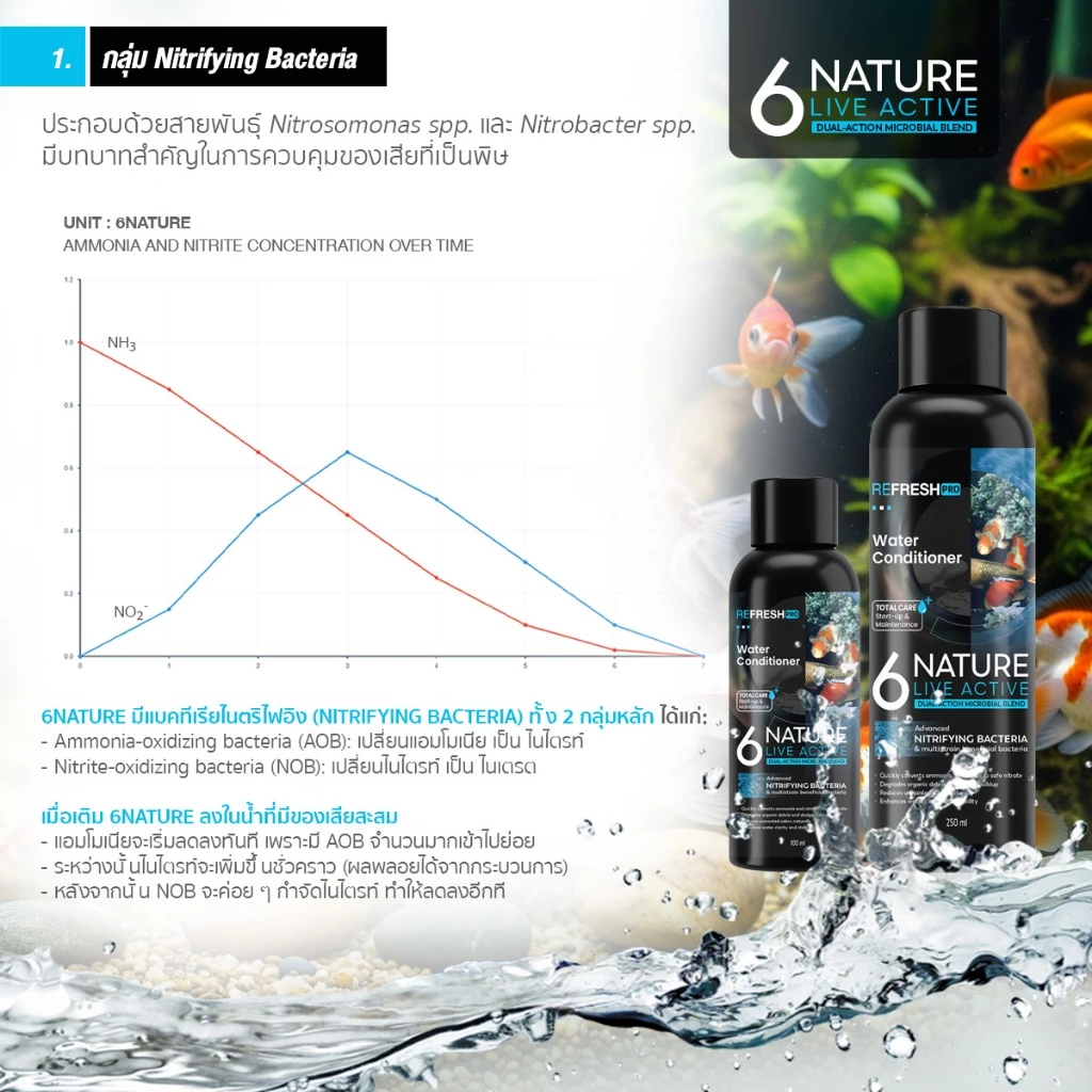 6NATURE จุลินทรีย์ตู้ปลา Nitrifying + Bacillus 6 สายพันธุ์ ตั้งตู้ บ่อปลา ไม้น้ำ thumbnail 5