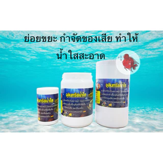 จุลินทรีย์น้ำใส จุลินทรีย์ปรับสภาพน้ำ เข้มข้น ปรับสภาพน้ำ กำจัดของเสีย ลดกลิ่น ปลาสดชื่น แข็งแรง น้ำใสตู้ปลา น้ำใสบ่อปลา