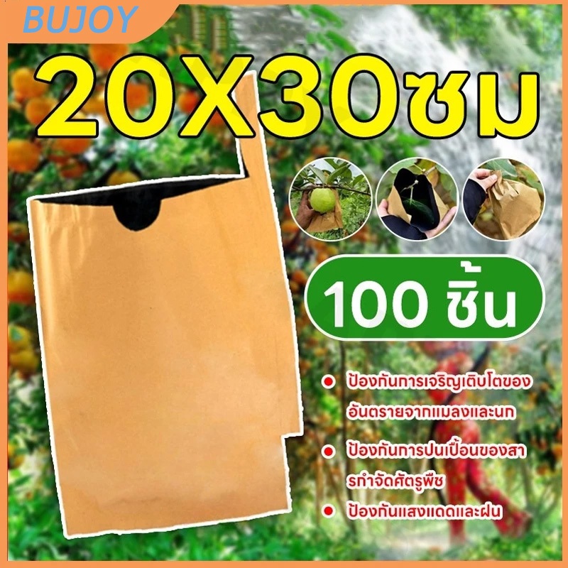 จำนวน 100 ถุงกระดาษคาร์บอน ถุงห่อผลไม้ ขนาด 20x30 cm ป้องกันแมลงวันทองช่วยให้ผลไม้มีสีและผิวสสองชั้นกันน้ำ กันนก บังแสง