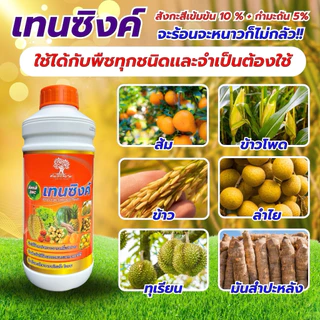 เทนซิงค์ สังกะสีสูตรเข้มข้น 10%+กำมะถัน 5% ขนาด 1ลิตร ทนต่อทุกสภาพอากาศ เร่งการเเตกยอด เเตกใบ แก้อาการใบเหลือง