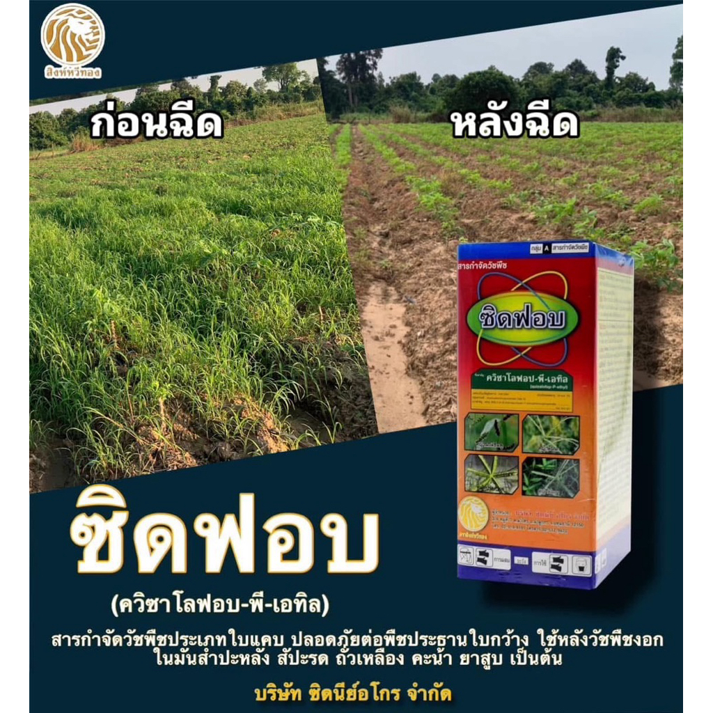 ซิดฟอบ ขนาด 1ลิตร (สารควินซาโลฟอป) ยากำจัดหญ้าใบแคบ เห็นผลเร็ว ใช้ได้หลายพืช