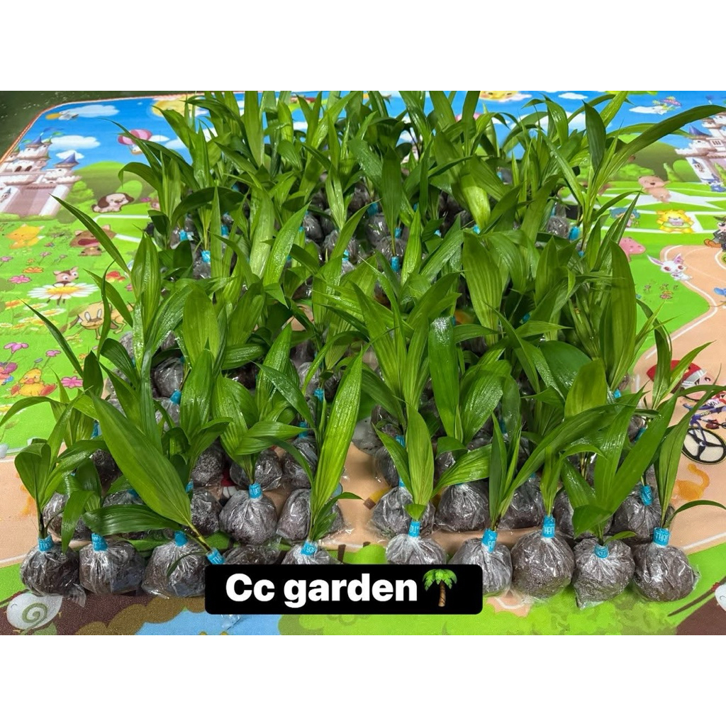 Thumbnail 8