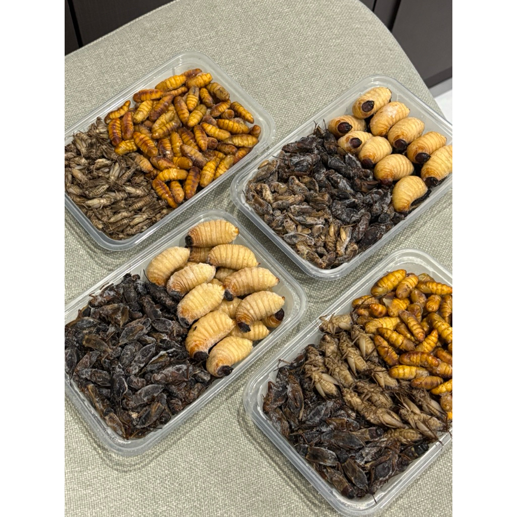 รวมแมลง ไม่ปรุสรส คนทานได้ เป็นอาหารสัตว์เลี้ยงได้