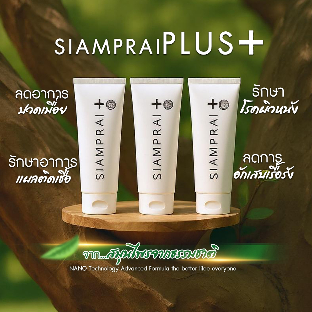 รูปภาพ 3