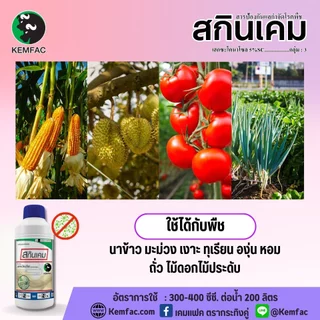 สกินเคม ขนาด1ลิตร สารเฮกซะโคนาโซล5% สารป้องกันและกำจัดโรคพืช ออกฤทธิ์ดูดซึมโรคกาบใบแห้ง โรคใบขีดสีน้ำตาล คุมโรคได้กว้าง