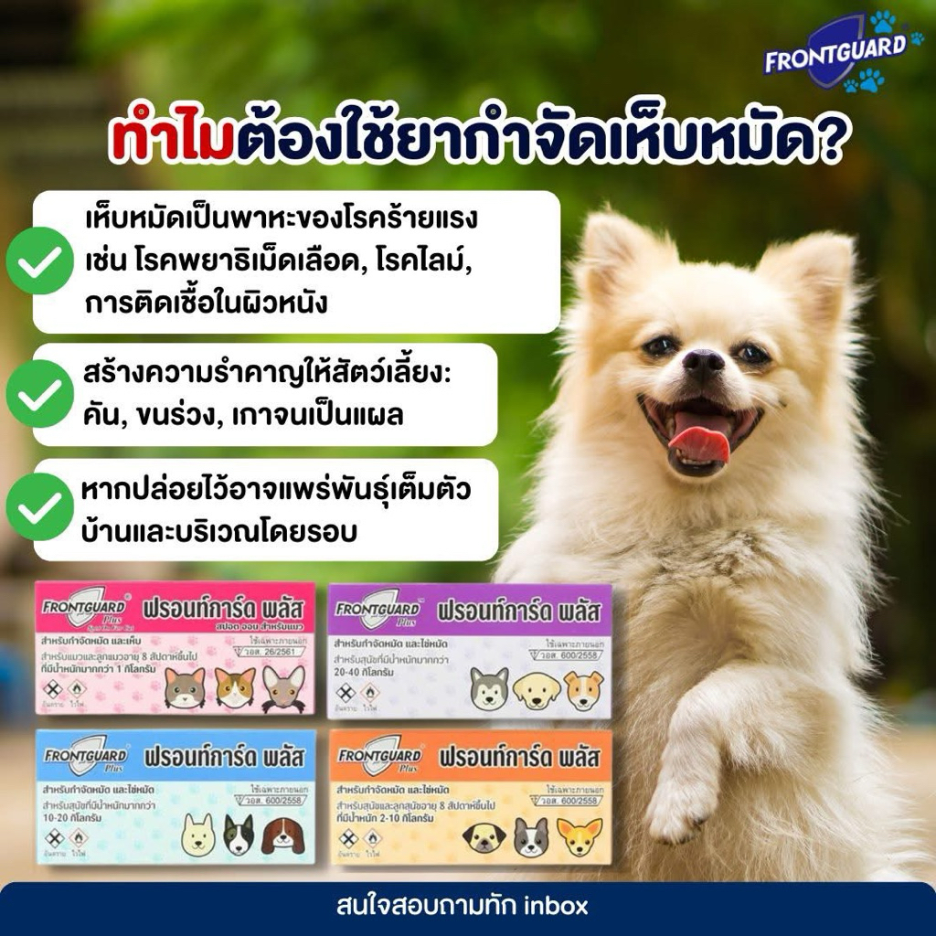 Frontguard plus สำหรับกำจัดหมัดและไข่หมัด ( 1 กล่อง 1 หลอด) - 2